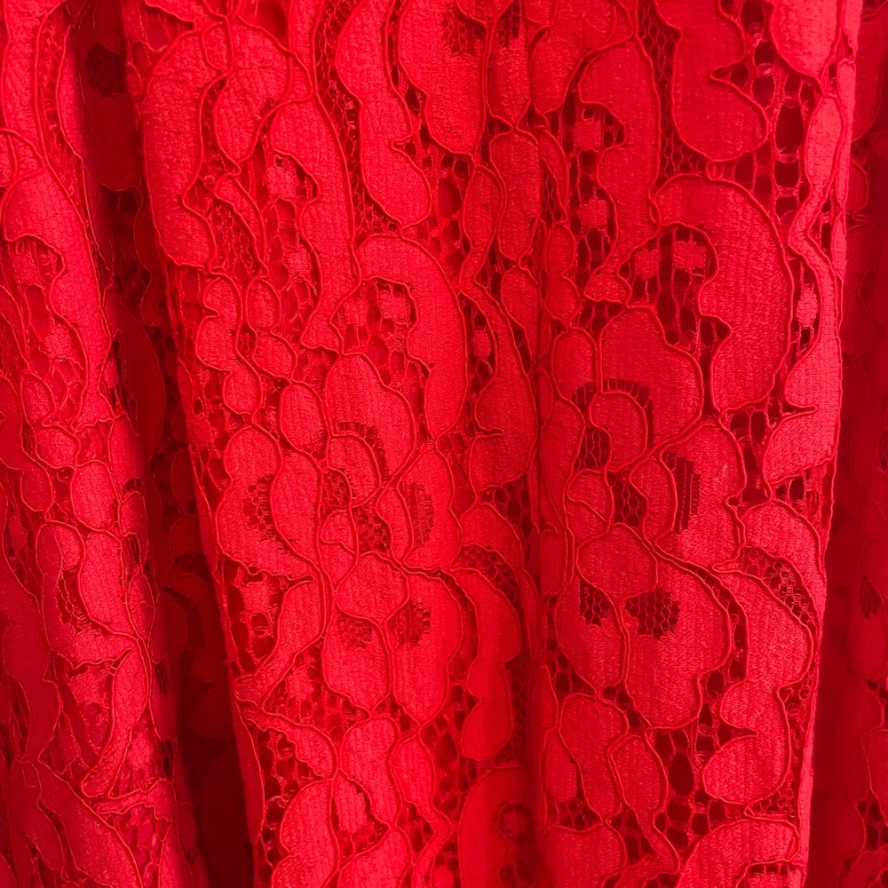 BCBG Lace Dress 💃🏼 - Picture 2 of 5